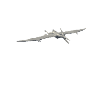 pteranodon_Model Variant
